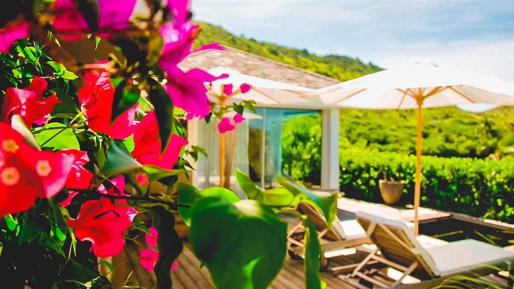 Smell - Casamia in Toiny, St. Barthélemy