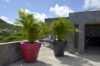 Villa Alpaka in Flamands, St. Barthélemy 5