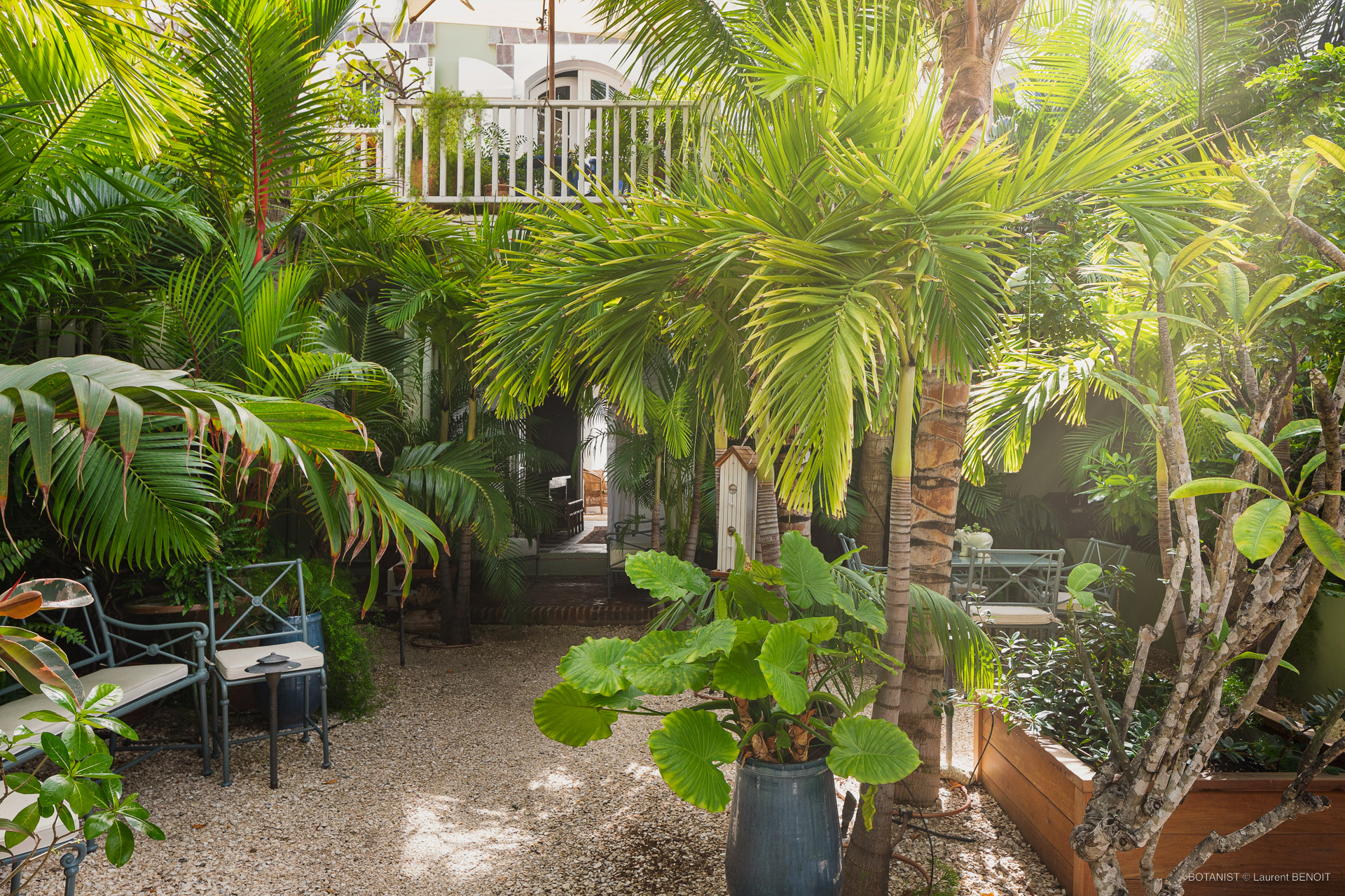 Smell - Botanist in Gustavia, St. Barthélemy