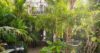 Tropical villa garden with dense palm trees, shaded seating areas, and balcony view at private St Barts vacation rental
