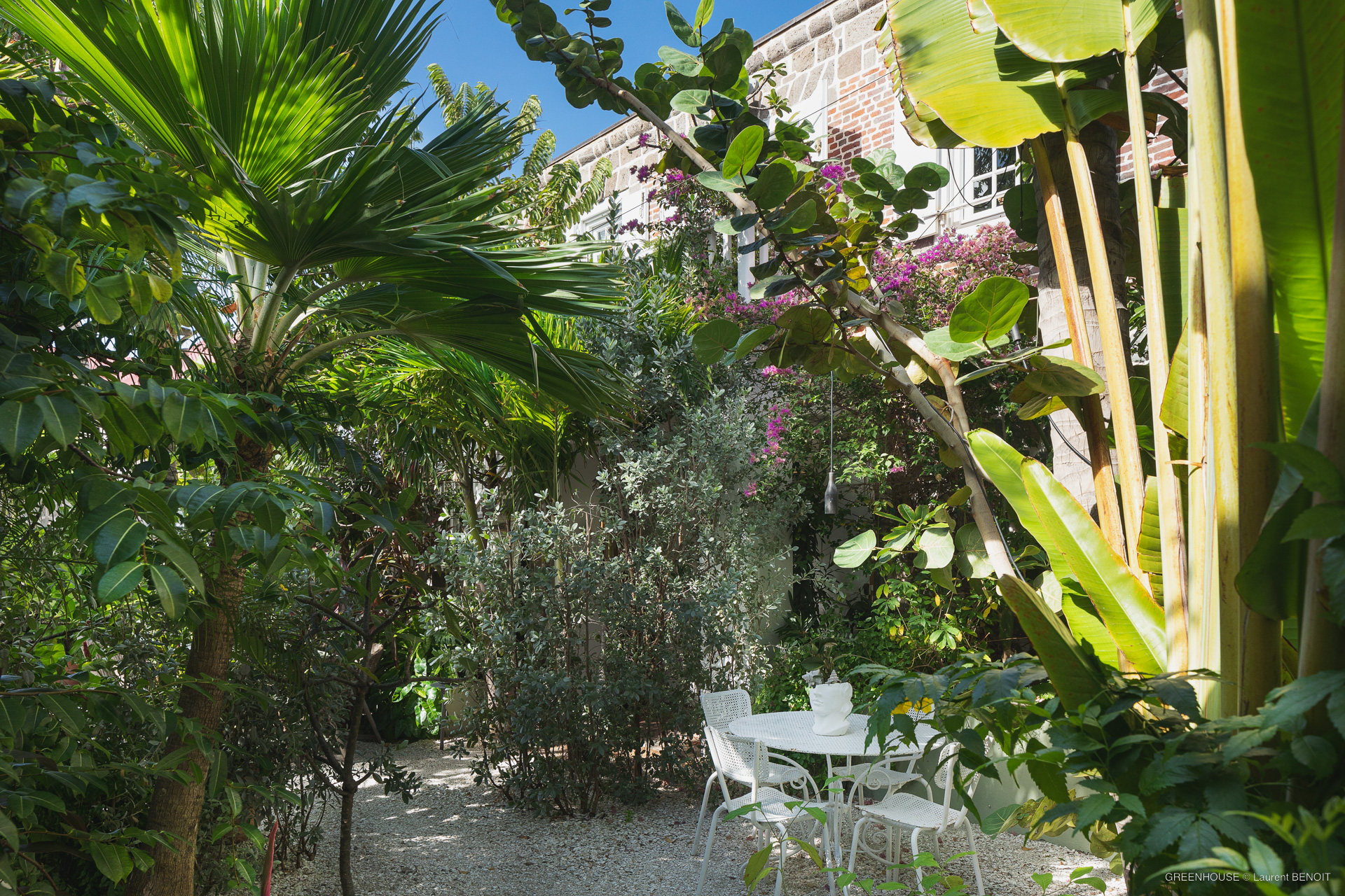 Feel - Greenhouse in Gustavia, St. Barthélemy