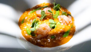 Delicate shrimp dish with microgreens and sauce, prepared by a private chef.