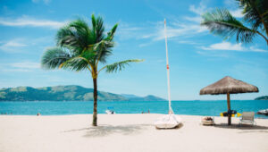 Sunny tropical beach with palm trees, white sand, calm blue ocean, and a small boat on shore.