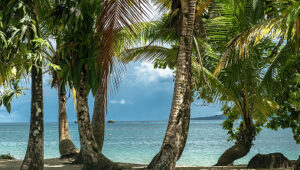 Palm trees framing a calm ocean view with sandy beach and small islands in the distance.