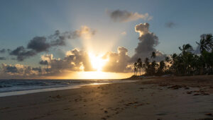 Sunset over a sandy beach with palm trees silhouetted against a colorful sky and scattered clouds.