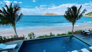 Infinity pool overlooking a sandy beach, ocean, two palm trees, and a distant island in Flamands