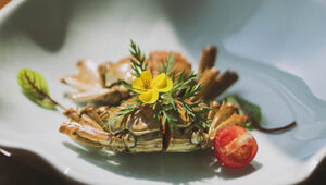 Gourmet dish of crab garnished with herbs and cherry tomato, prepared by a private chef.