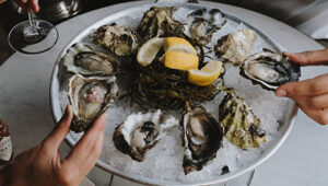 Fresh oysters prepared by a private chef.