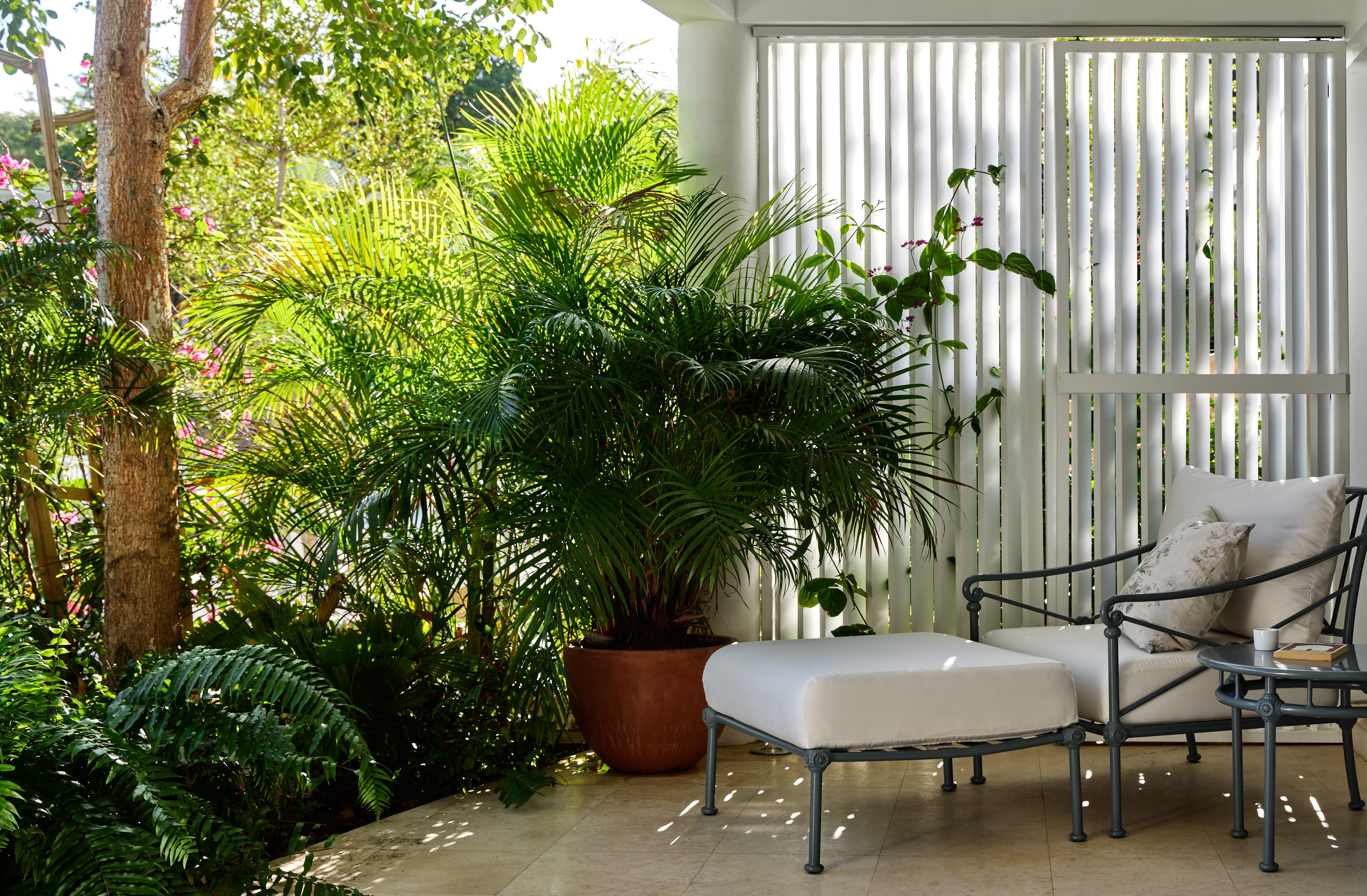 Hear - Mayflower in Marigot, St. Barthélemy