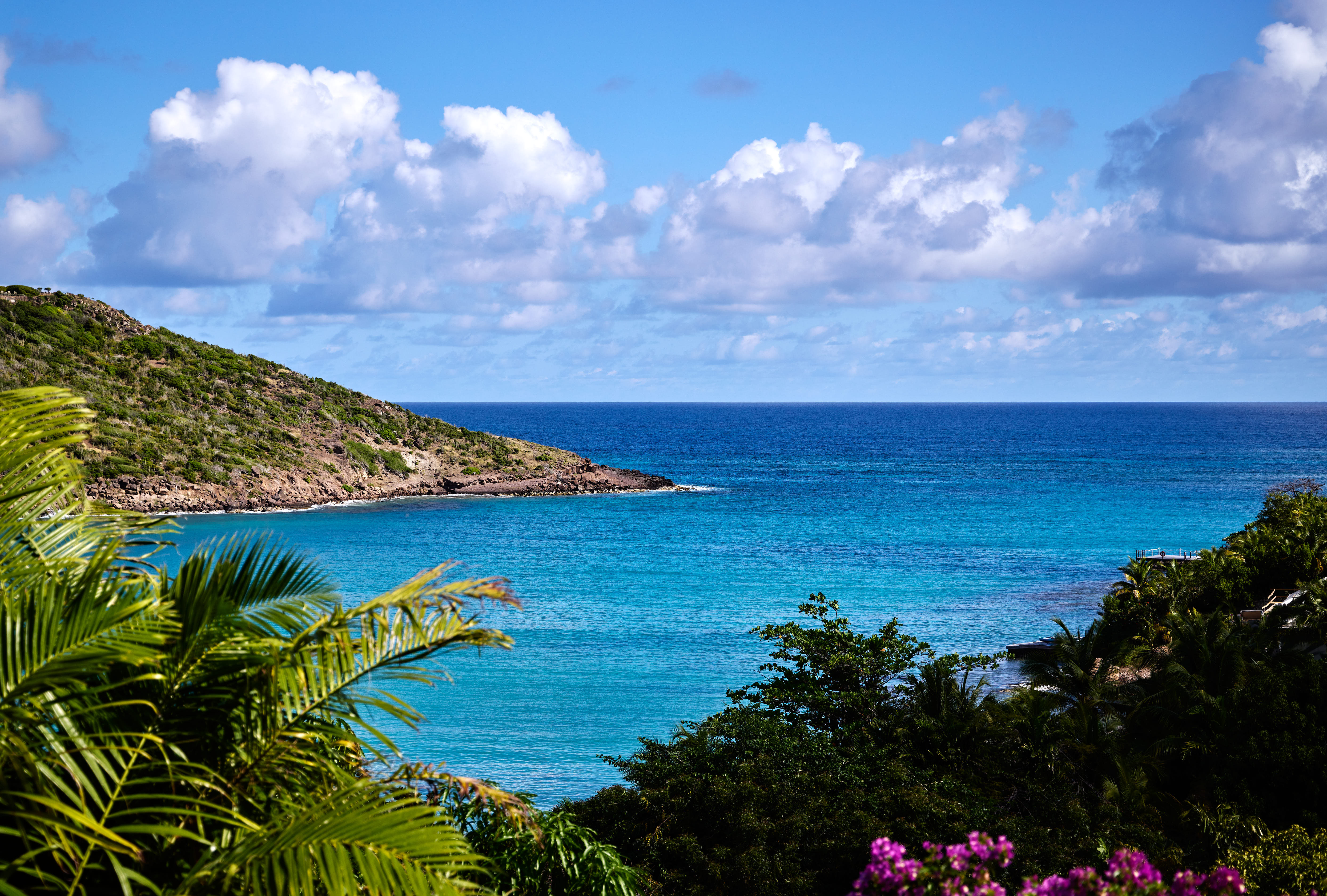 Smell - Mayflower in Marigot, St. Barthélemy