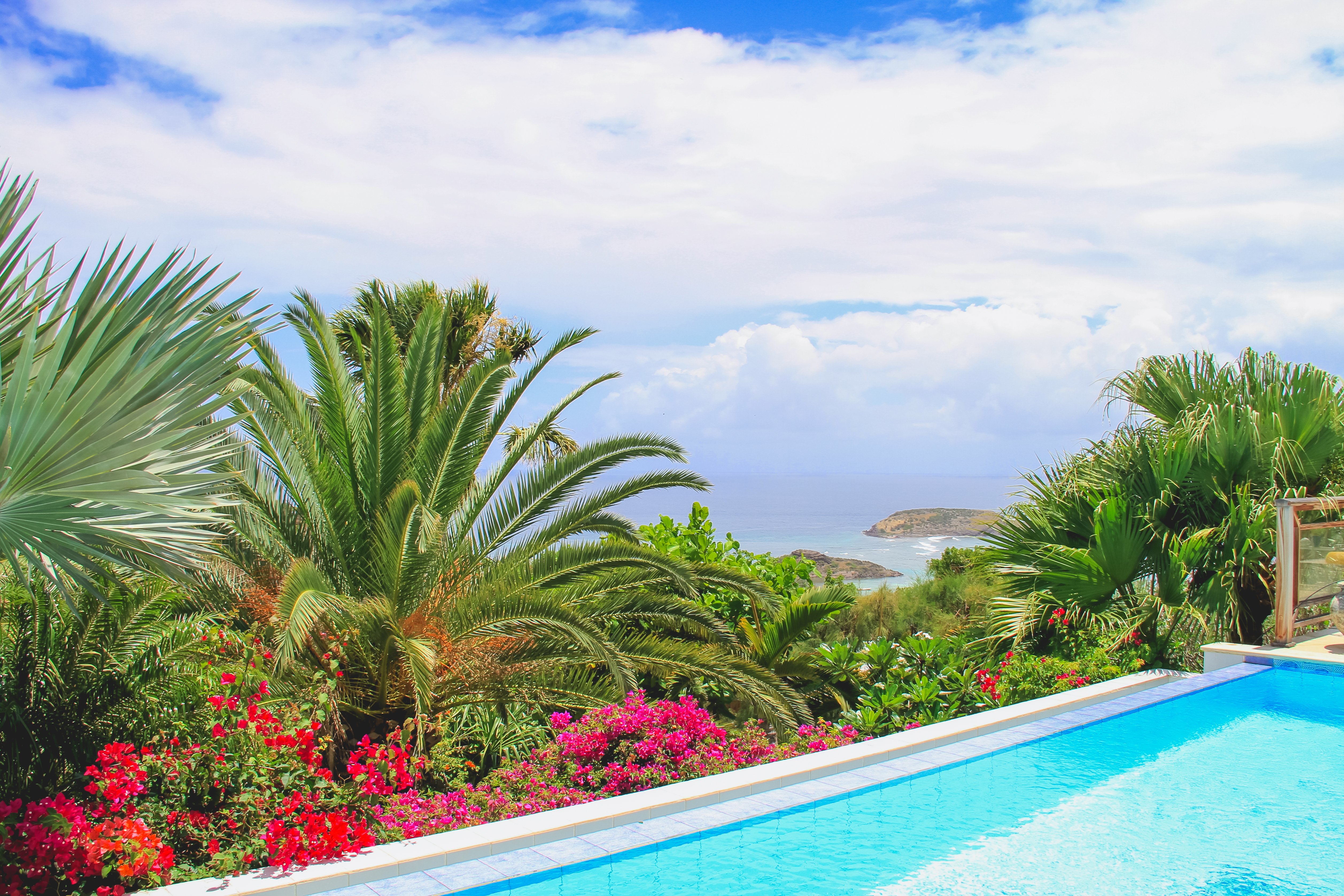 Tropical garden with palm trees and bright bougainvillea surrounding pool overlooking the Caribbean Sea in St Barts villa rental