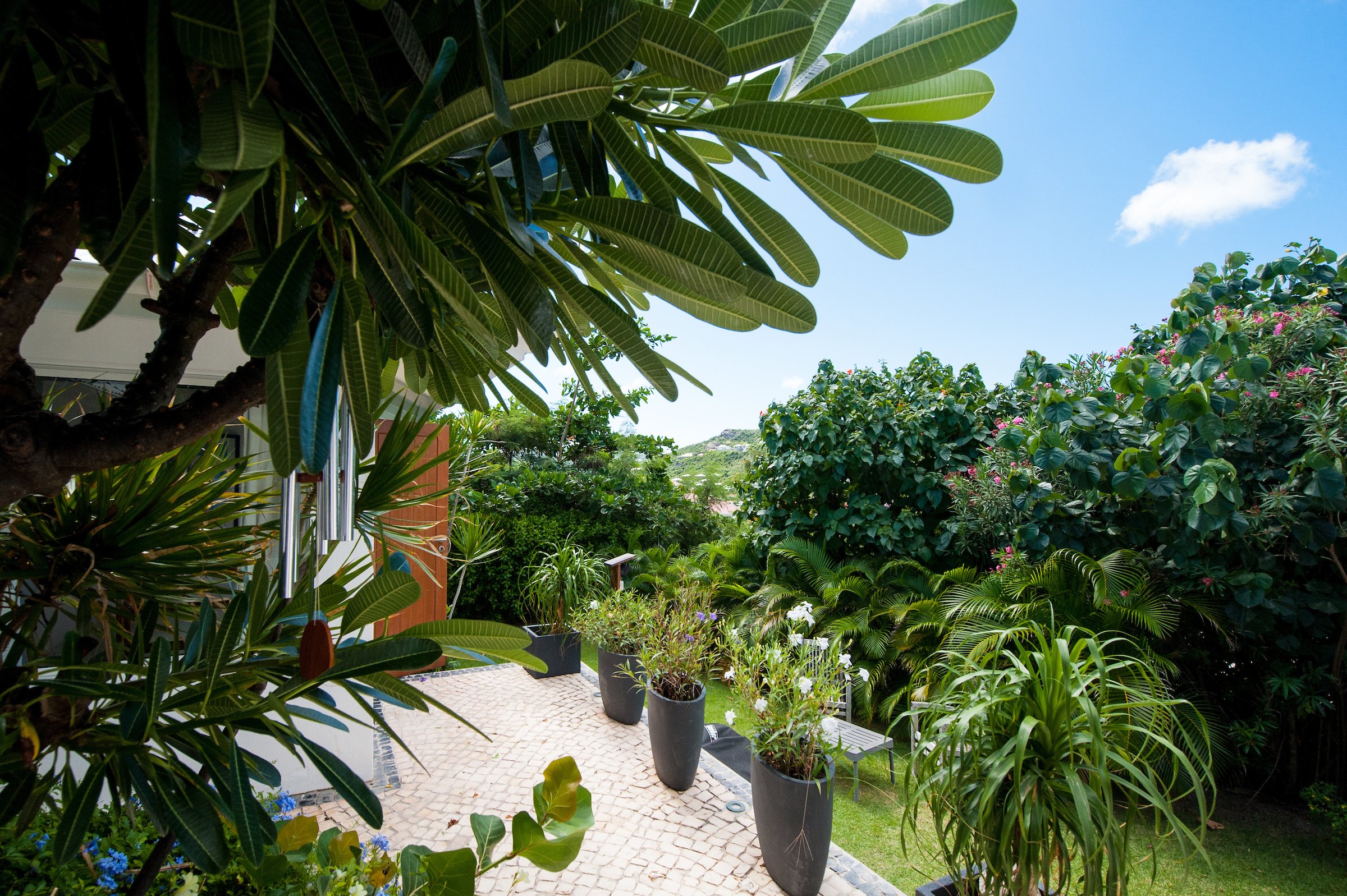 Smell - Caribbean Breeze in Anse des Lézards, St. Barthélemy