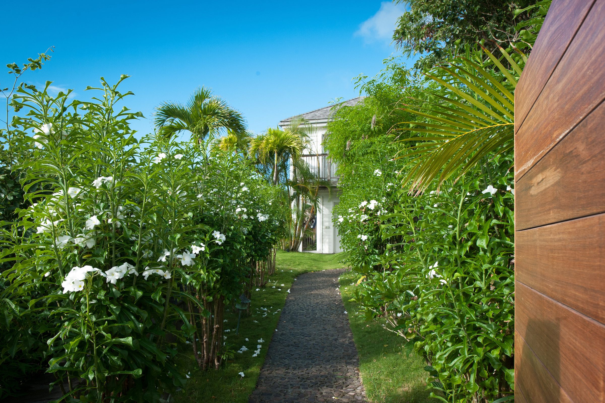 Smell - Kiara House in Vitet, St. Barthélemy