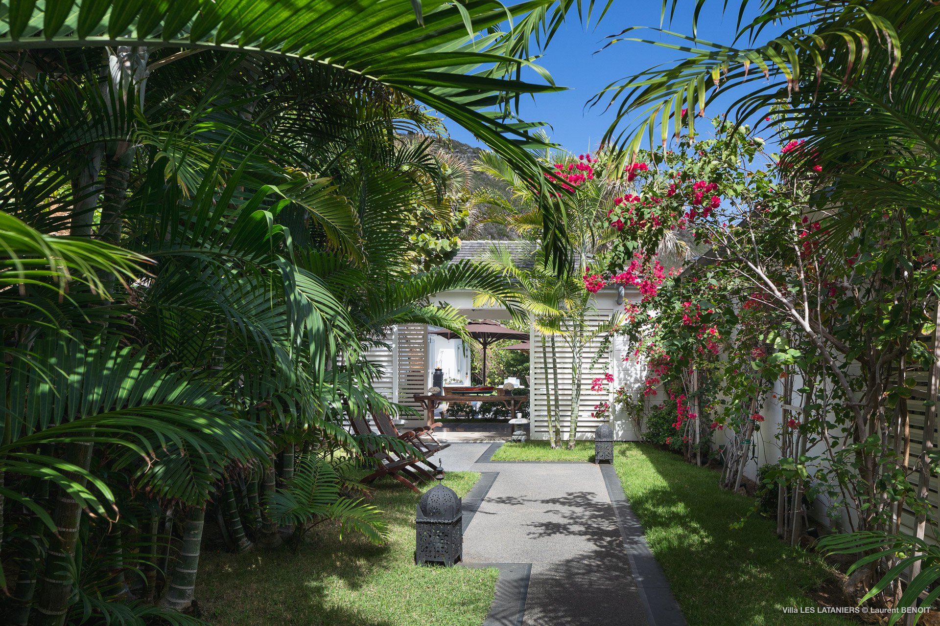 Smell - Les Lataniers in Anse des Lézards, St. Barthélemy