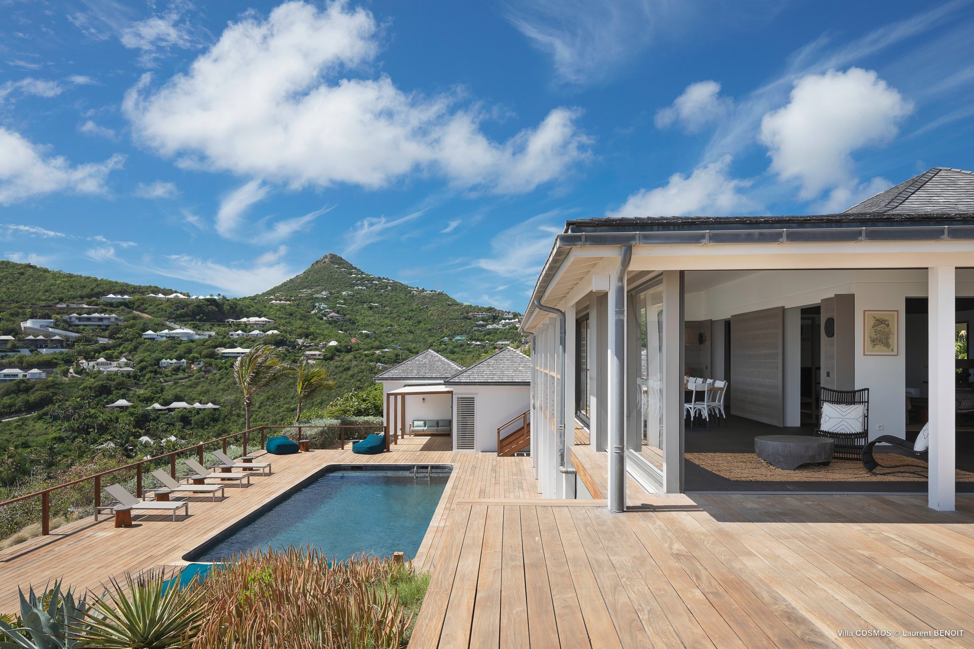 Smell - Cosmos in Mont Jean, St. Barthélemy