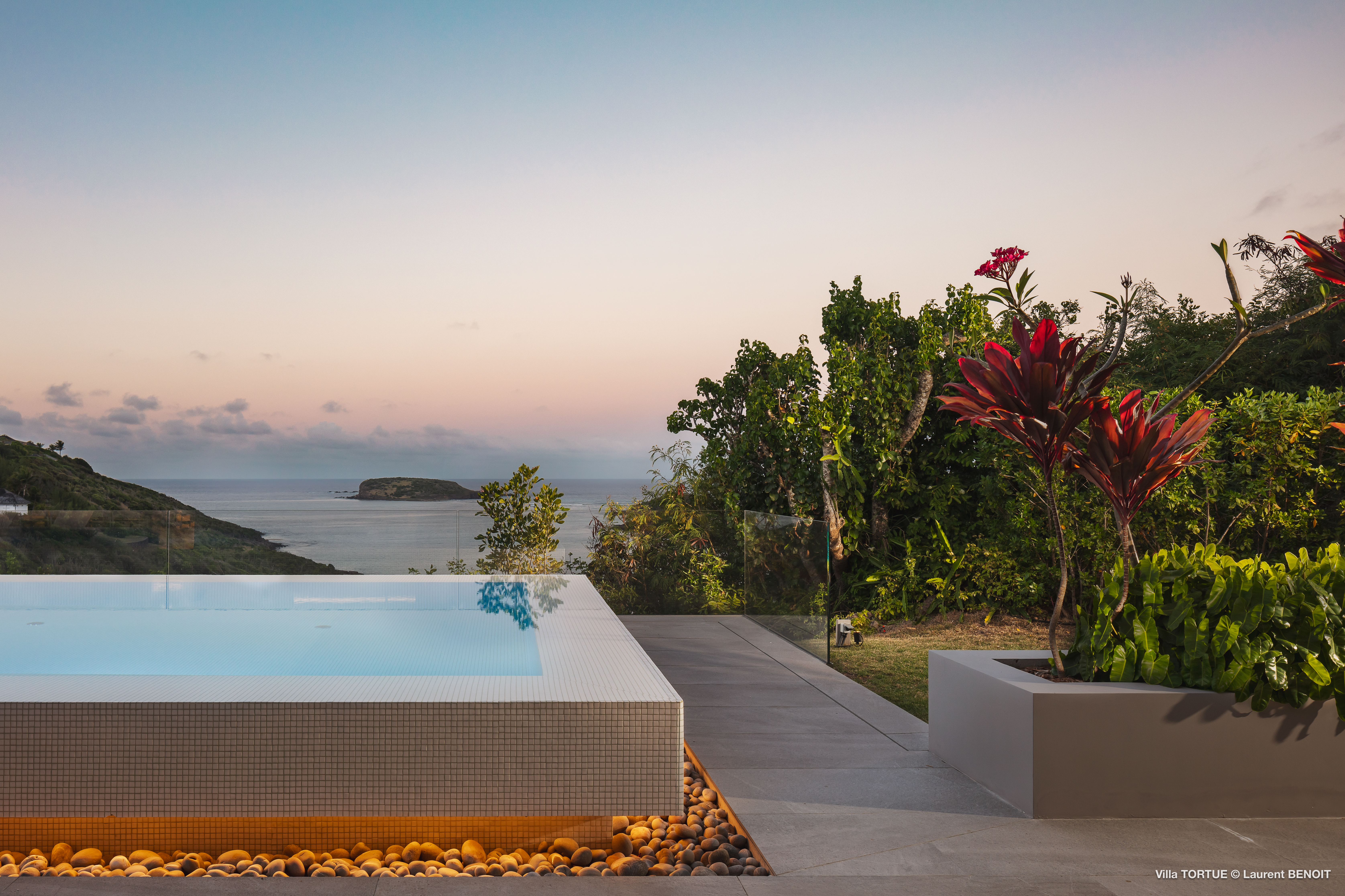 Smell - Tortue in Marigot, St. Barthélemy