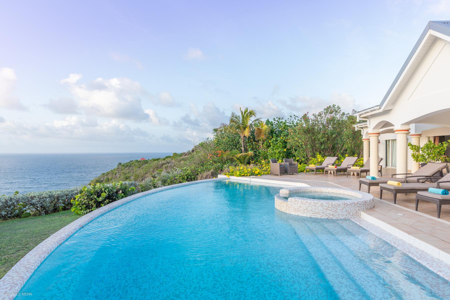 Hear - Sea Bird in Mont Jean, St. Barthélemy