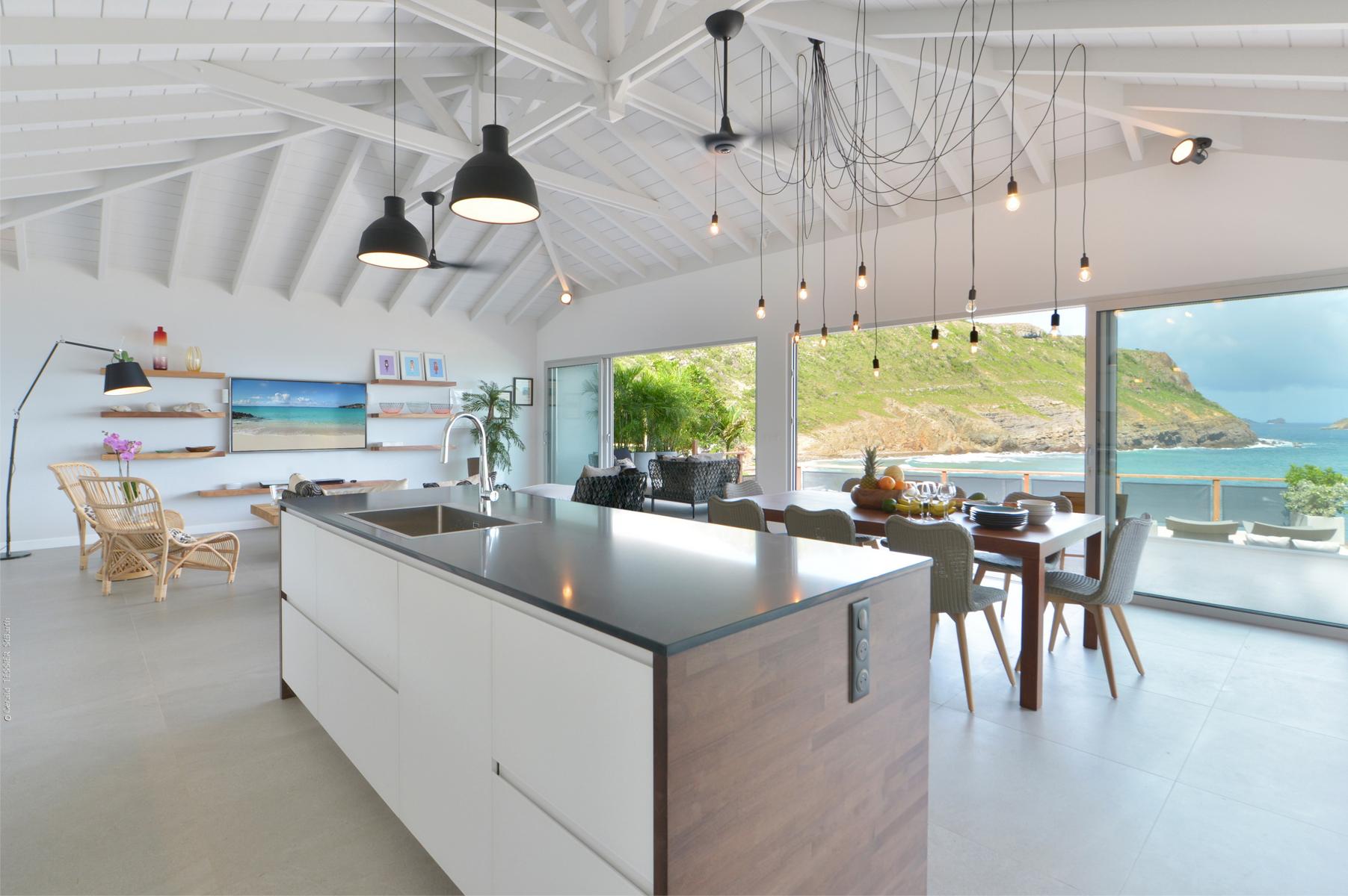 Taste - Pélican in Anse des Lézards, St. Barthélemy