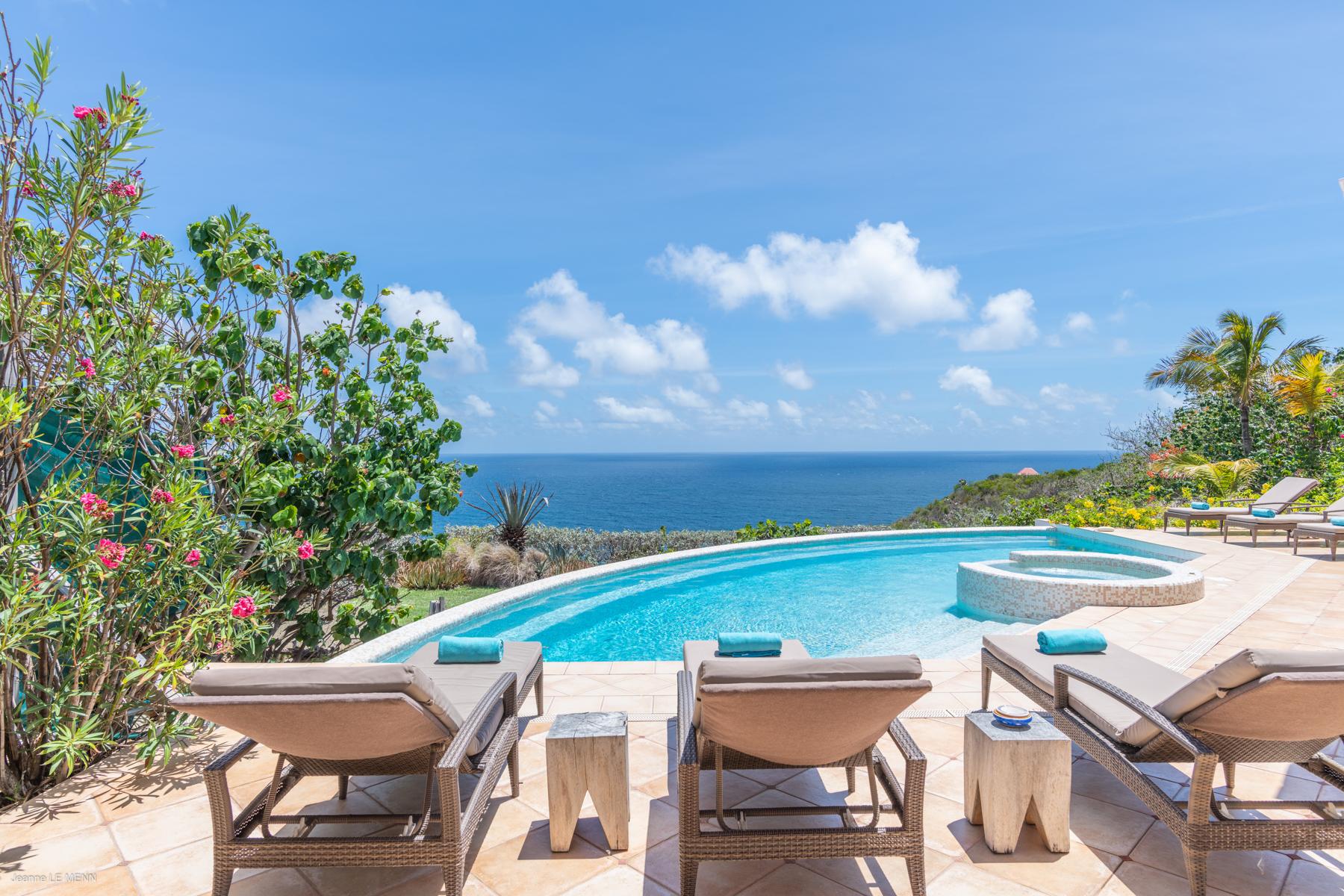 Smell - Sea Bird in Mont Jean, St. Barthélemy