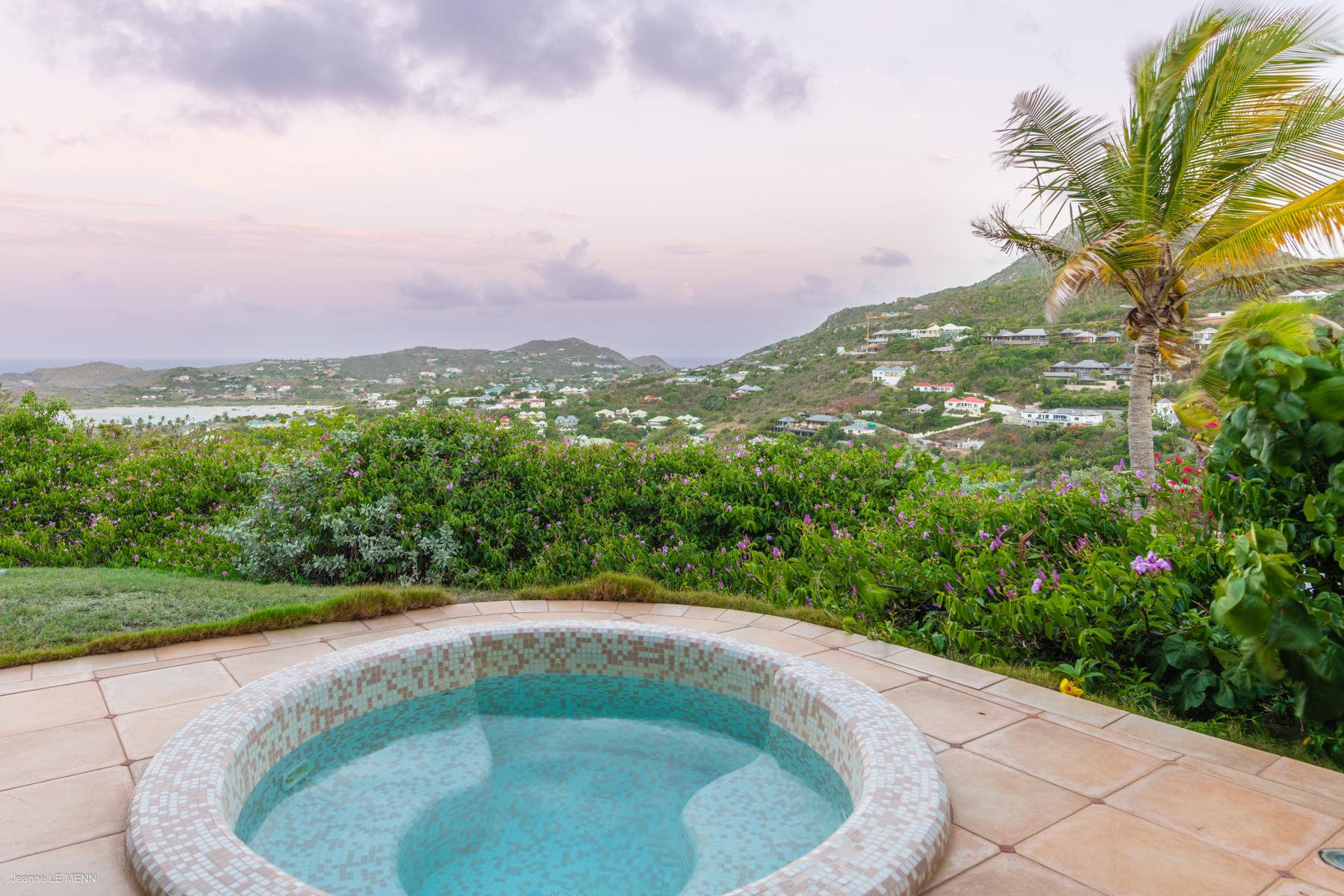See - Sea Bird in Mont Jean, St. Barthélemy