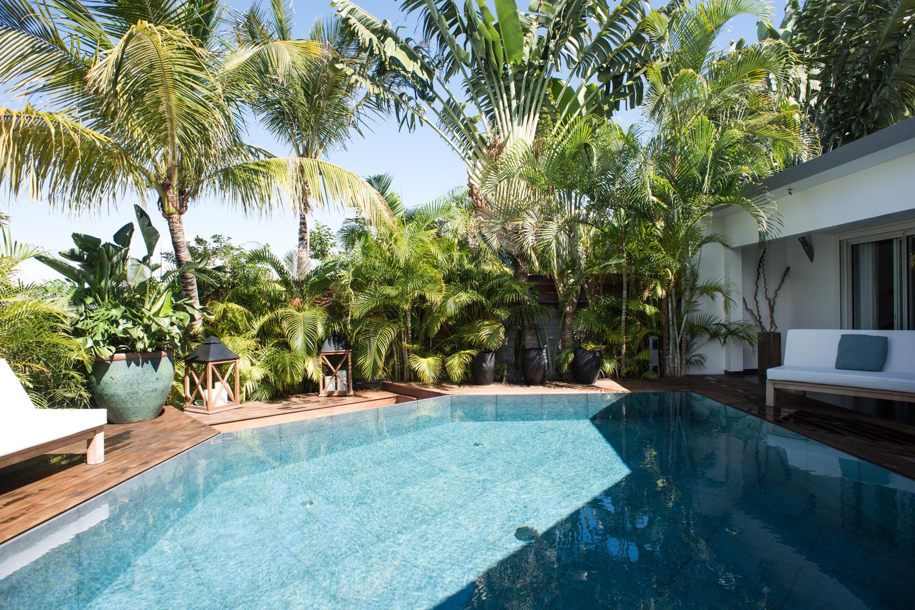Secluded pool surrounded by palm trees and tropical garden at a private villa rental in St Barts