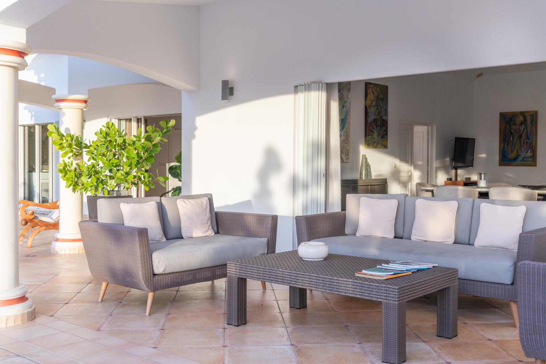 Feel - Sea Bird in Mont Jean, St. Barthélemy