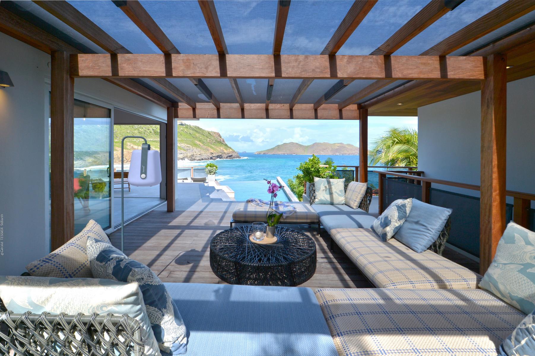 See - Pélican in Anse des Lézards, St. Barthélemy