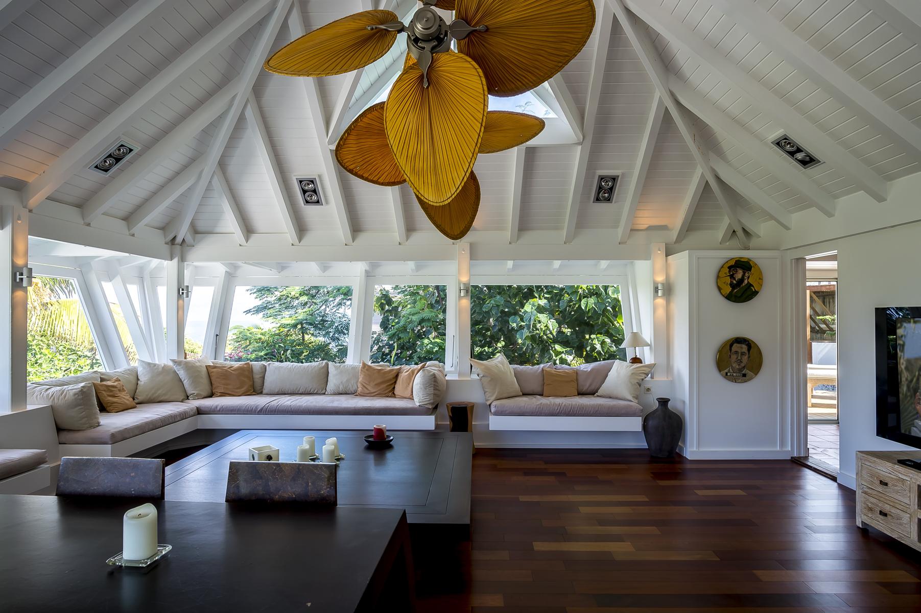 Feel - Salamandres in Vitet, St. Barthélemy