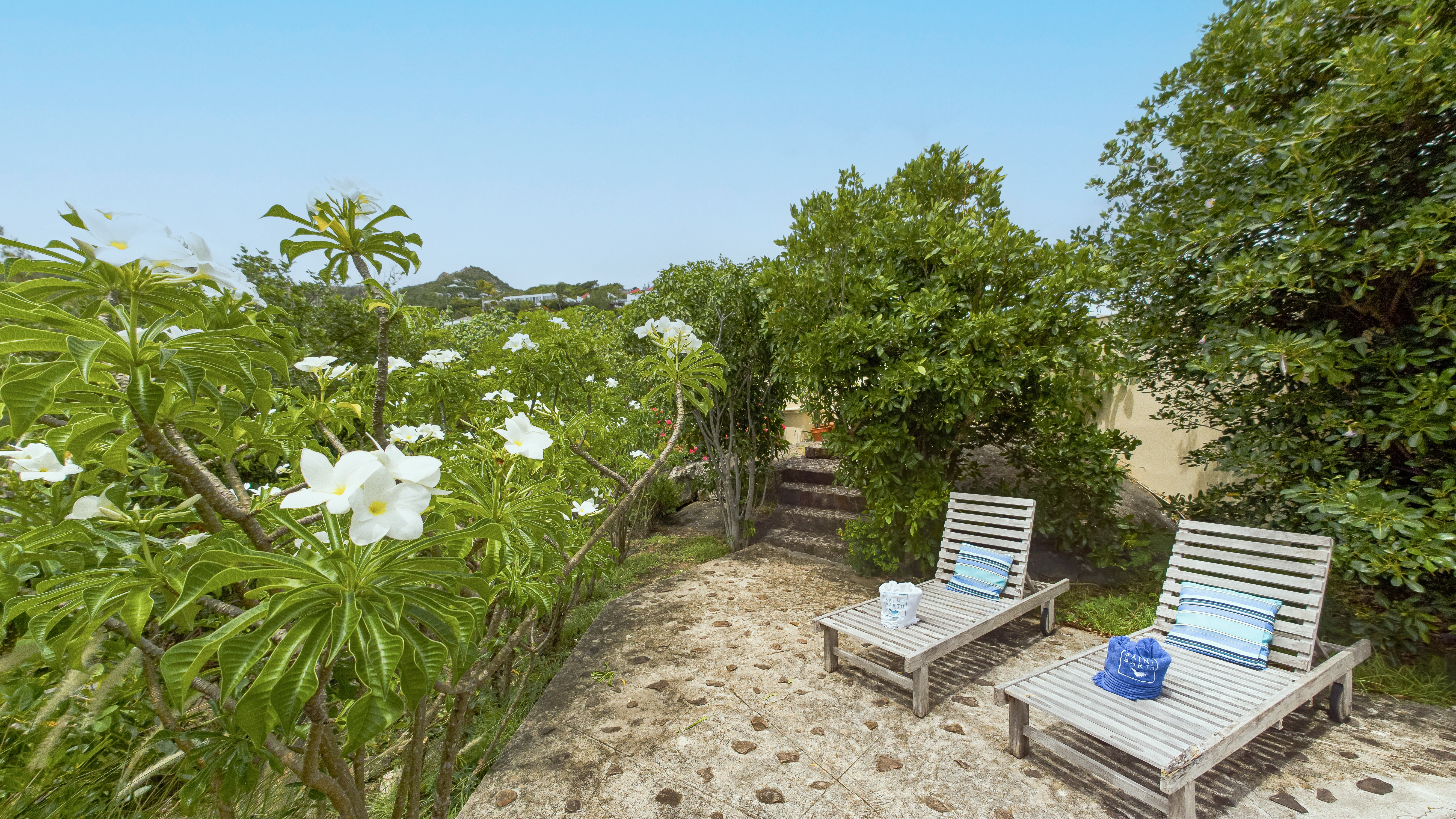 Hear - Boa in Marigot, St. Barthélemy