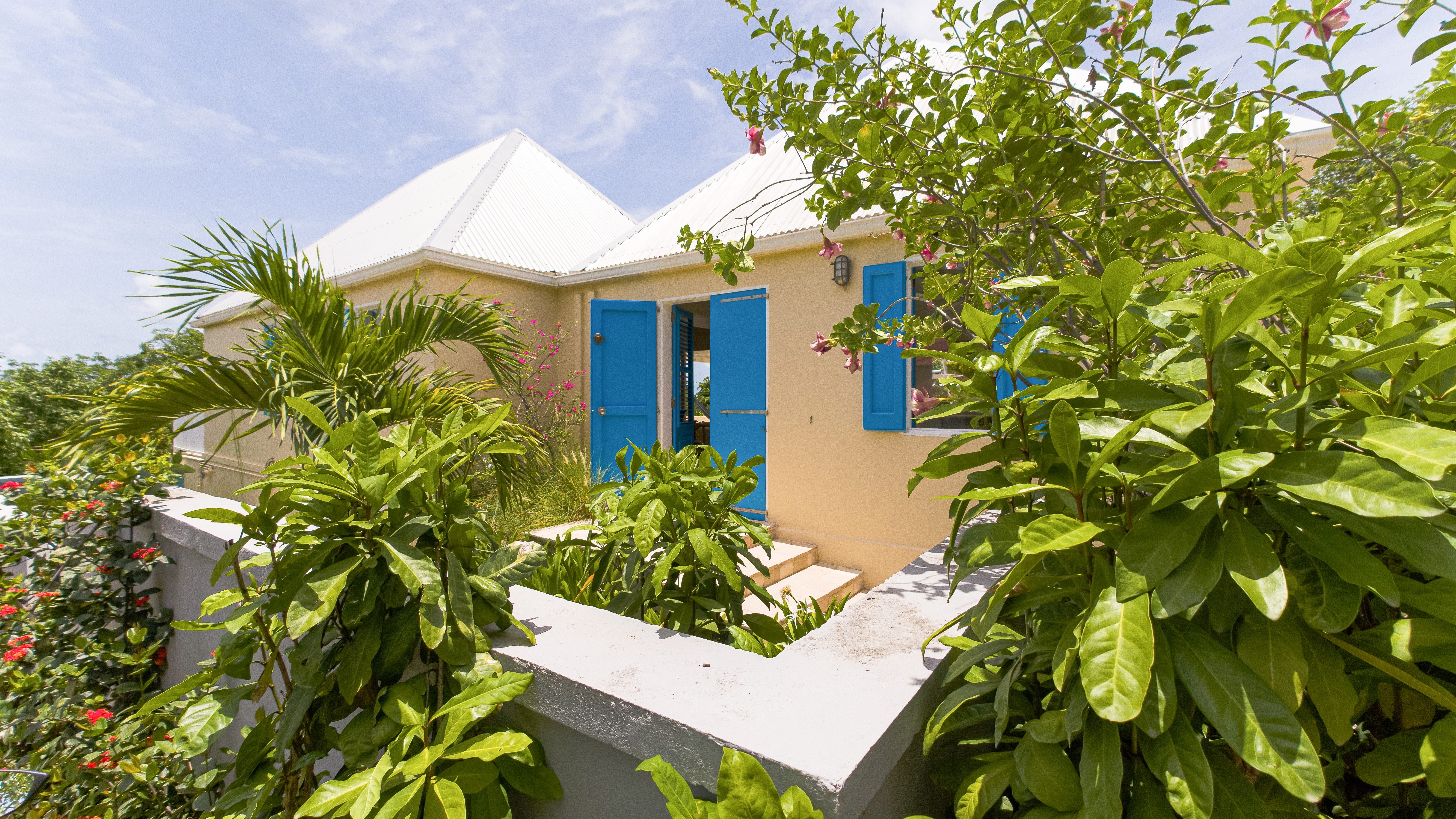 Smell - Boa in Marigot, St. Barthélemy