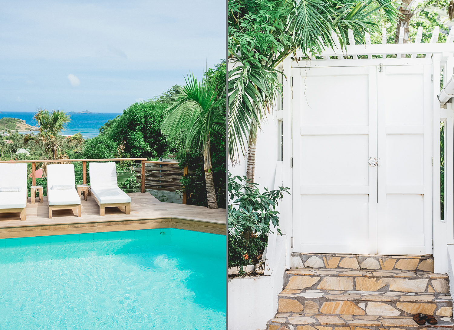 Smell - Les Palmiers in Anse des Cayes, St. Barthélemy